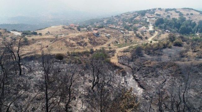 İzmir küllerinden doğuyor 