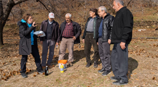 İzmir’de kestane kanseri ile mücadele sürüyor